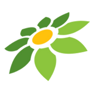 GREENDRAGON88